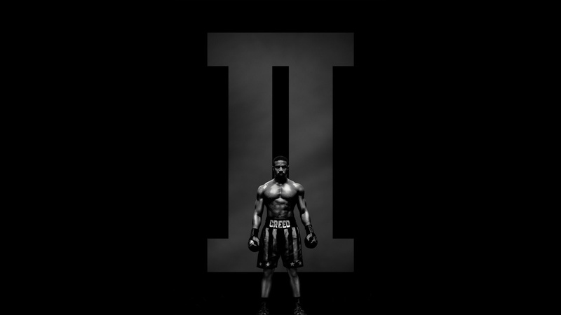 1080P, Adonis Johnson, Michael B. Jordan, Creed II, Boxing, Movie, Boxer, Creed (Movie)