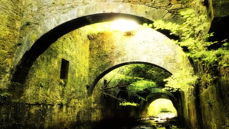 arched, the way forward, medieval, bridge - man made structure, arch, bridge, stone, nature, green, wall, water, plants, the past, brown, tunnel, stones