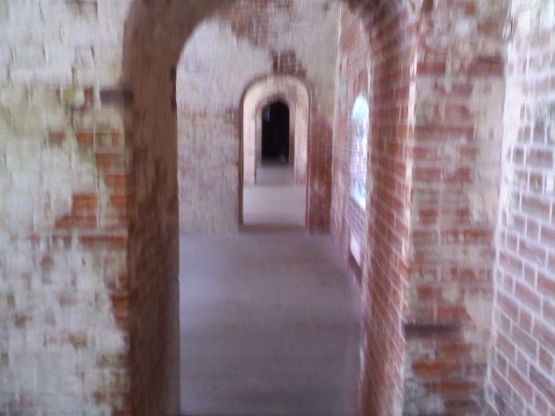 brick, animals, archway, 1080P