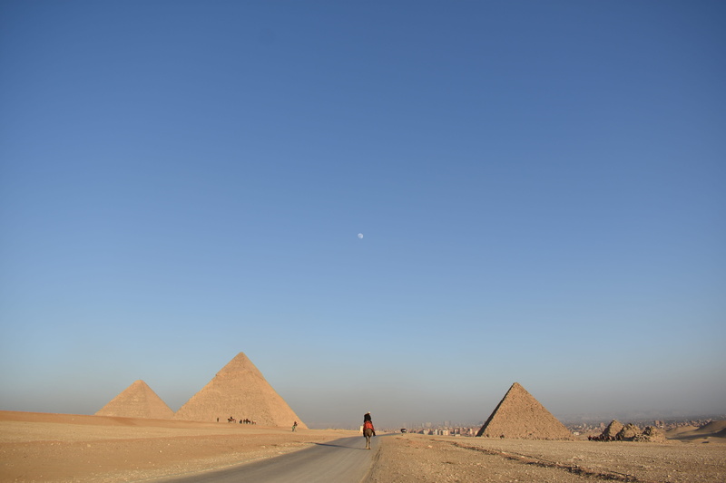 animal, arid climate, observatory, ancient civilization, mammal, building, pyramid, egypt, climate, moon, architecture, travel, pyramids, scenics - nature