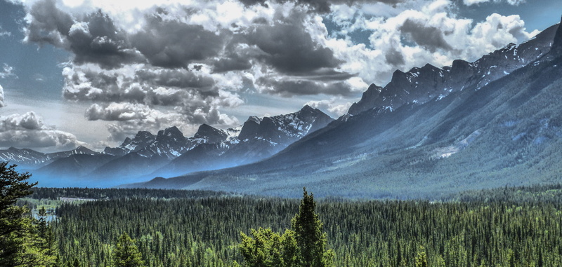 dramatic sky, coniferous tree, alberta, smoke, summer, pine woodland, tranquil scene, national park, cloud - sky, landscape, mountain range, tree, trees