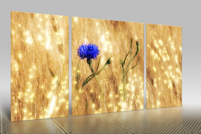 ground, agriculture, grain, panel, nature, painting, mirroring, cereals, 2K, blue, no people, decoration, built structure, illuminated, freshness, vase