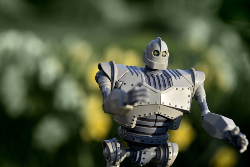 human representation, technology, nature, iron, focus on foreground, plant, close-up, unconditional, future, child, robot, representation, day, mammal