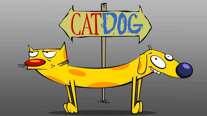 1080P, catdog
