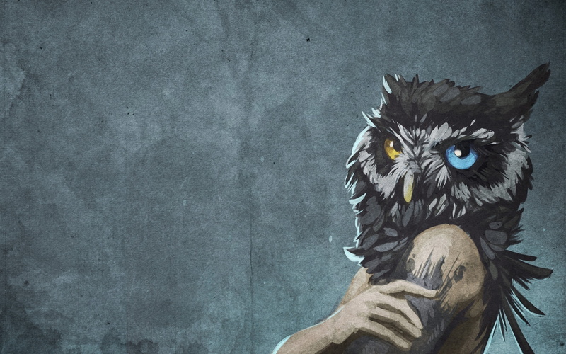scp, scp 1155, head, owls, heterochromia, 2K