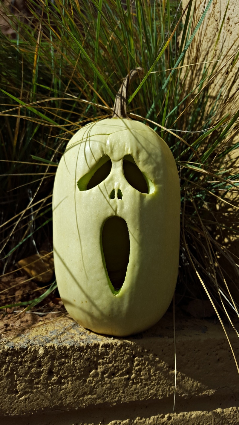 fun, october, decor, autumn, pavement, jack o lantern, human representation, nature, ghost, garden, fall, organic, squash, food and drink, season, cute