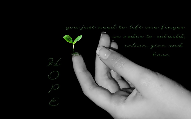 roots, 720P, d, hope, new life, new begining, abstract, cg, seedling, hd, art, hand