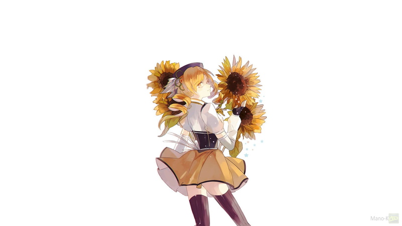 rear view, hairstyle, young adult, leisure activity, one person, white background, studio shot, copy space, females, Mahou Shoujo Madoka Magica, flowering plant