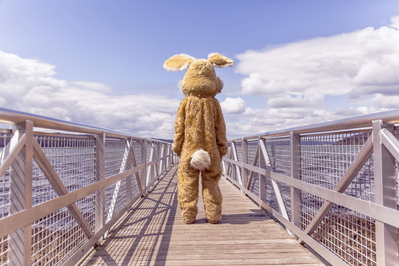 footbridge, dock, animal, lake, sky, summer, bridge, animal themes, built structure, connection, whimsical, no people, railing, person, bridge - Man Made Structure