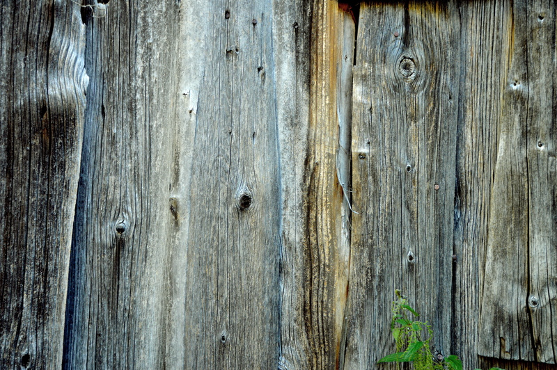 entrance, design, full frame, backgrounds, ruined, fence, wood - Material, tree bark, run-down, grain, Knots, wood grain, no People, Boards, Background