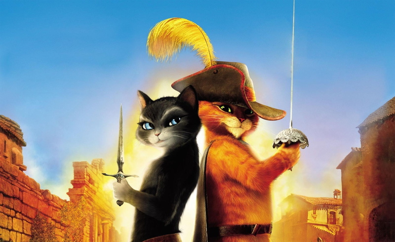 hat, architecture, Antonio Banderas, cat, two, domestic Cat, low angle view, building exterior, cats, humor, domestic animals, vertebrate, art and craft