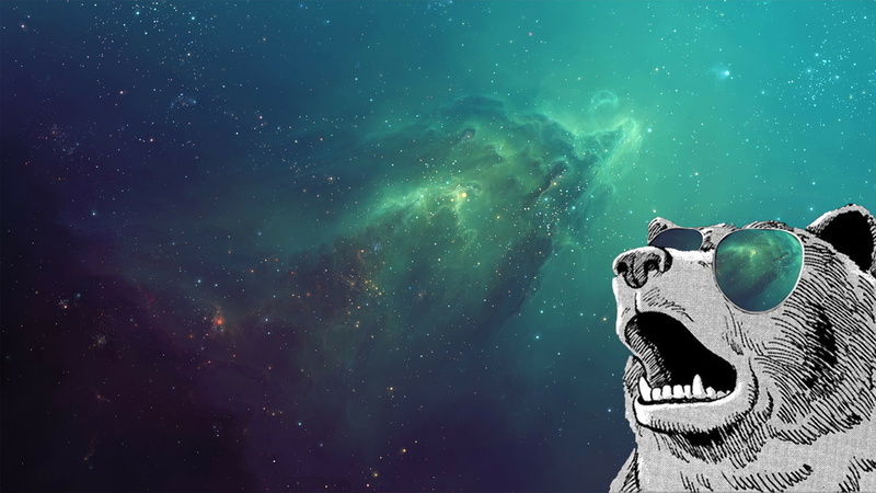 sunglasses, digital art, glasses, purple, humor, 1080P, space, bears, space art, turquoise, animals