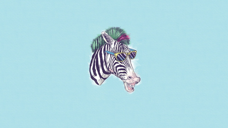 head, one Animal, zoo, backgrounds, animals in the wild, nature, blue, Art, studio shot, Minimalism, animal wildlife, vertebrate, Humor, mid-air, Zebra