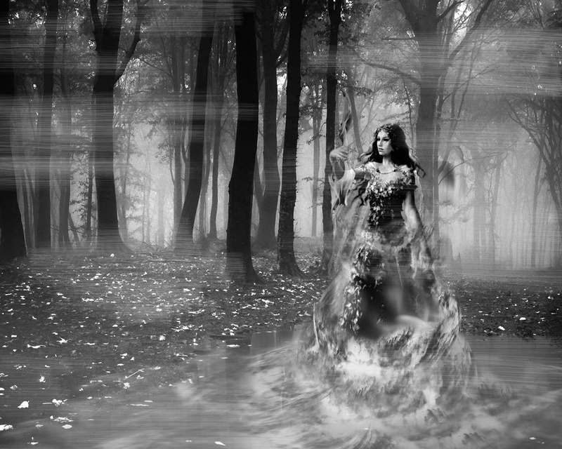 leisure activity, tree, man, women, adult, Mystique, nature, forest clearing, young adult, day, woman, water, digital composite, young women, reflection