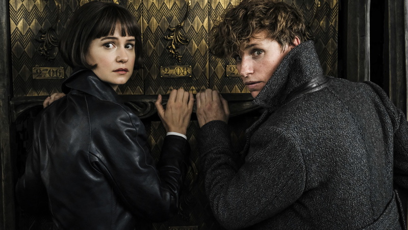 fantastic, Katherine Waterston, character, Eddie Redmayne, 5K, Fantastic Beasts: The Crimes of Grindelwald, beast, 5k