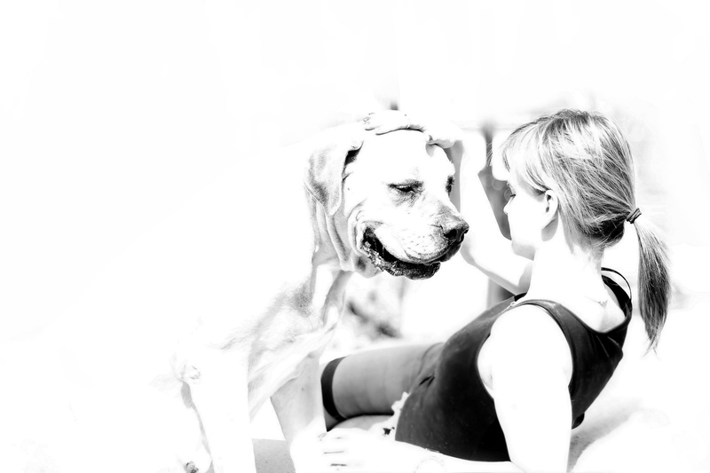 real people, bonding, ballotade, women, domestic, girl, animal, moloss, french mastiff, togetherness, leisure activity, dog, canine, young adult, model