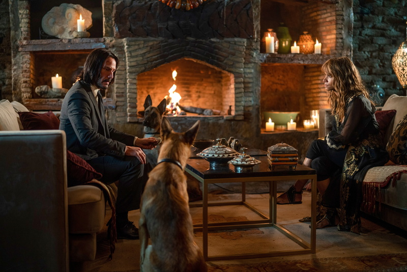 John Wick: Chapter 3 – Parabellum, John Wick, 8K, Movie, Keanu Reeves, Halle Berry