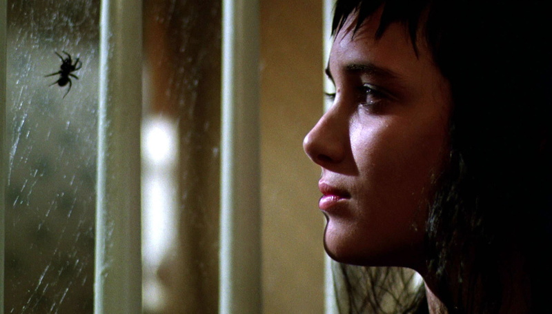 fantasy, film, window, spider, beetlejuice, dark, gothic, 720P, ryder, comedy, mood, winona, horror, movie