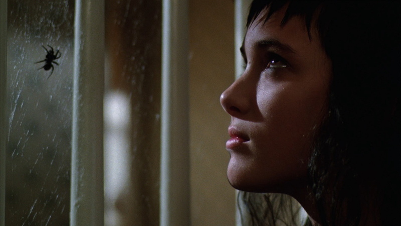 dark, adult, hopelessness, looking through window, despair, contemplation, looking, profile view, watching, sadness, emotion, females, young adult, body part