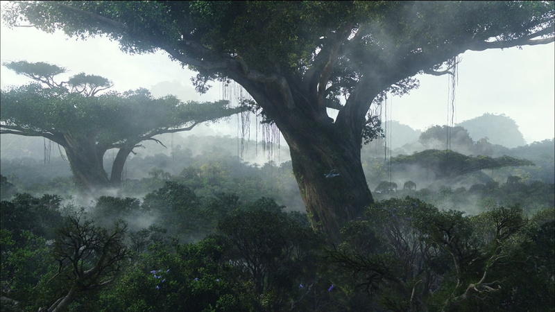 hd, movies, avatar, green, trees, leaf, tree, forest, 1080P