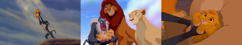king, the, monitor, screen, multiple, 5K, simba, lion, roi, multi, triple