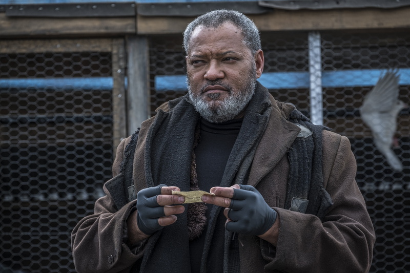5K, John Wick: Chapter 3 – Parabellum, Laurence Fishburne, Movie