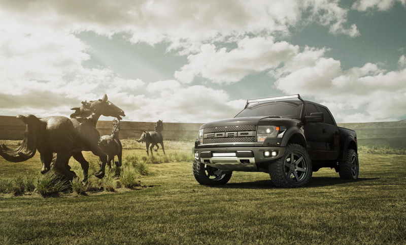 sport, 4x4, sports Utility Vehicle, day, Ford, road, nature, animal, dirt Road, vertebrate, farm, livestock, mode of transportation, black, car, mammal