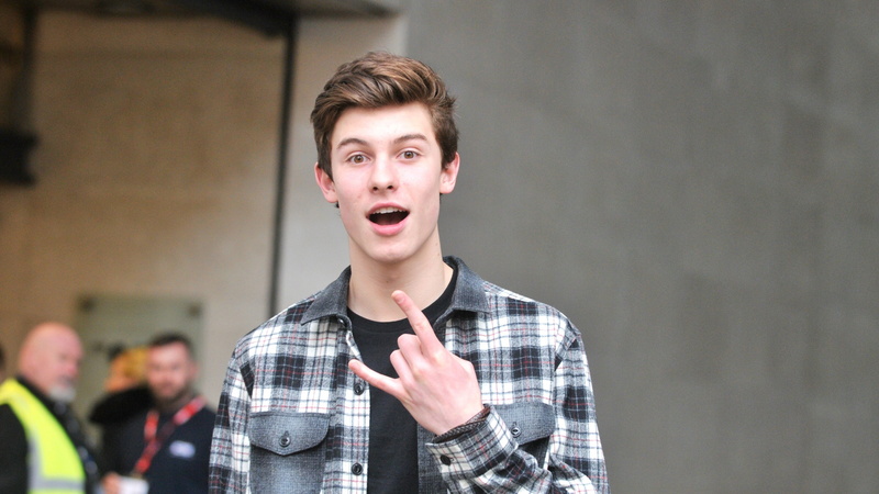 Shawn Mendes, 4K, gray, man, Top music artist and bands, plaid, wearing, dress, black, shirt, blogger