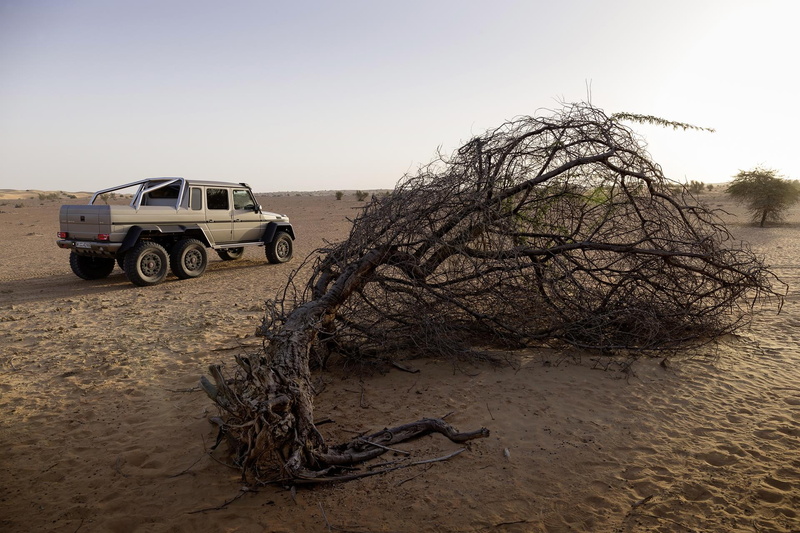 arid climate, plant, g, day, landscape, remote, x, outdoors, land vehicle, motor vehicle, tree, benz, class, climate, nature, suv, environment, off-road vehicle