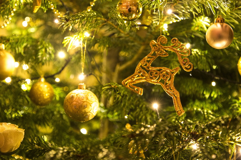 christmas, christmas background, merry, string, animal themes, gold, christmas lights, festive, baubles, tree, christmas decoration, night, light, glitter