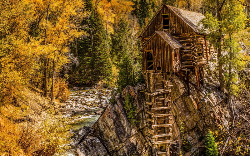 land, scenics - nature, trees, fall, autumn, wood - material, wooden, tree, growth, nature, change, tranquil scene, water, architecture, outdoors, plant