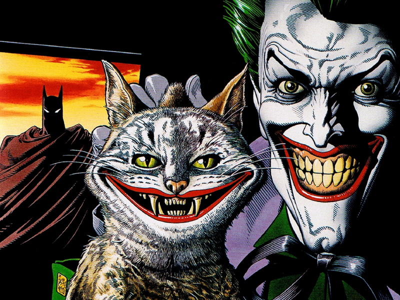 joker, batman, hd, cat, 720P, cartoon/comic