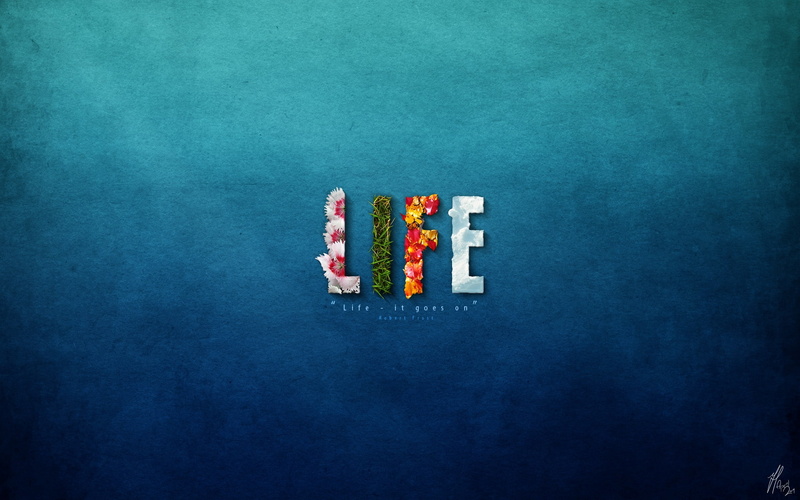 robert, life, quotes, cloud, frost, art, grass, wallpape, Blue, typography, x, flowers, hd, text, 1080P, nature, minimalistic