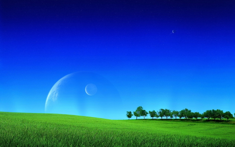 pasture, plant, freshness, sun, copy space, non-Urban Scene, vibrant Color, nature, springtime, tree, bright, meadow, season, grass, blue, landscaped, idyllic