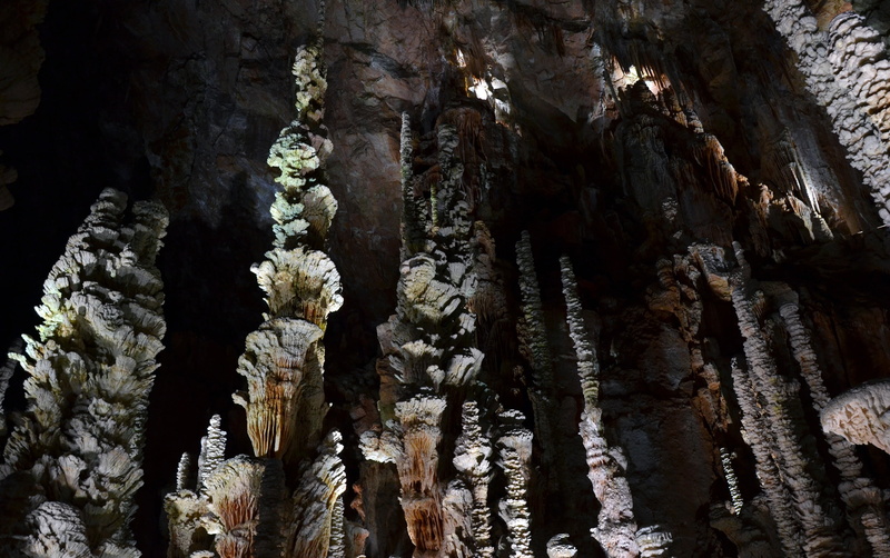 formation, close-up, outdoors, france, day, nature, stalagmites, tree trunk, pattern, geology, cave, brown, aven armand, full frame, natural pattern, trunk