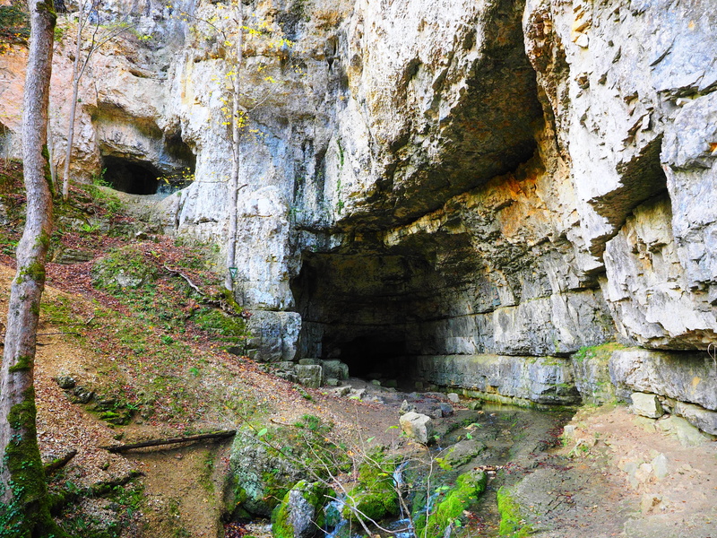 built structure, no people, 4K, outdoors, active water cave, tranquility, migratory goal, architecture, water cave, karst, rock, tree, swabian alb, destination