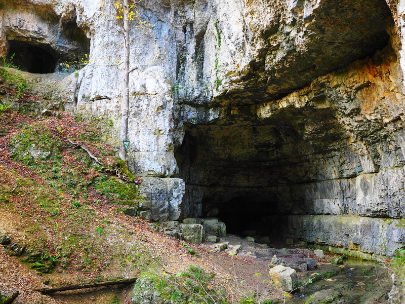 active water cave, baden württemberg, karst, non-urban scene, plant, growth, eroded, 4K, adventurous, forest, day, rock, rock formation, beauty in nature