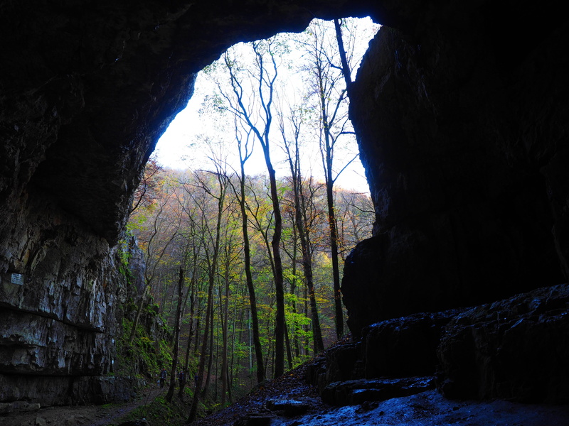 falkensteiner cave, non-urban scene, migratory goal, scenics - nature, water cave, nature, gigantic, grave stetten, adventure, rock formation, baden württemberg