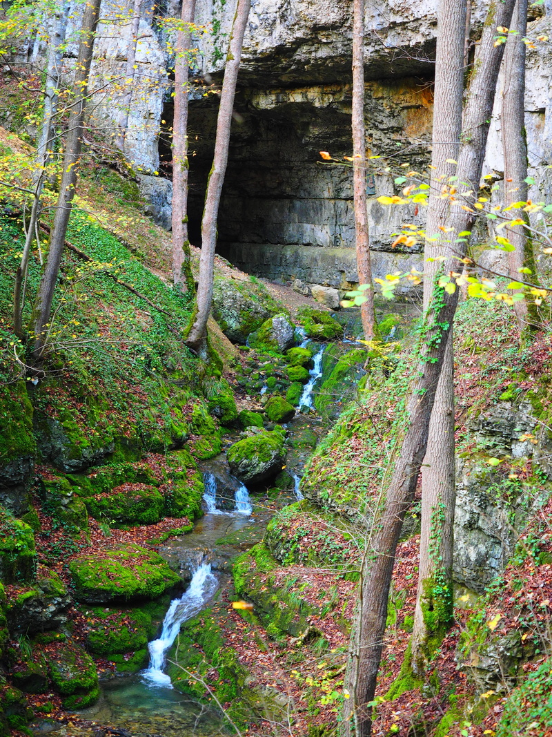 tree, flowing water, motion, waterfall, river, day, nature, land, growth, solid, baden württemberg, rock - object, stream - flowing water, karst, active water cave