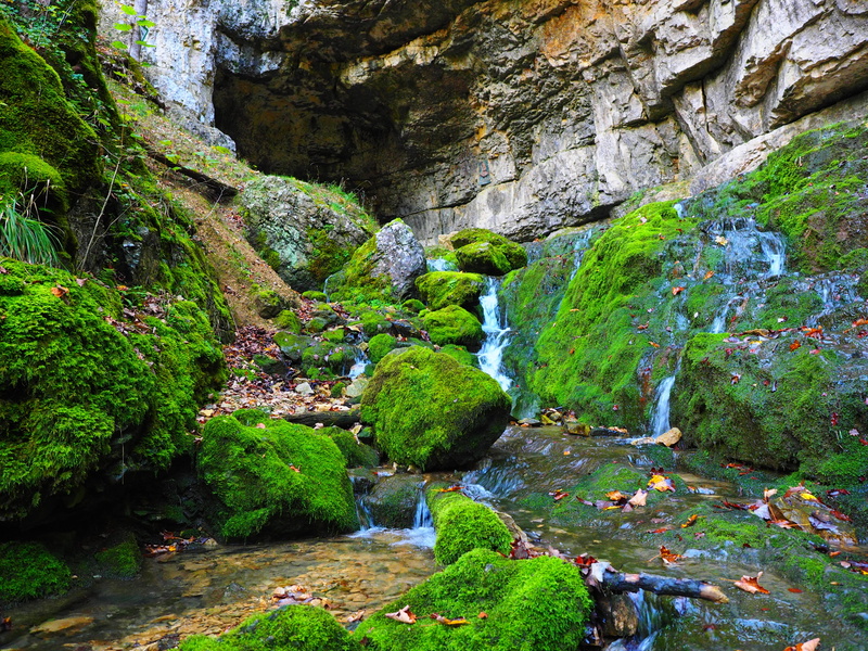 falkensteiner cave, growth, gorge, rock formation, rock, waterfall, stream - flowing water, bad urach, outdoors, land, solid, non-urban scene, forest, River