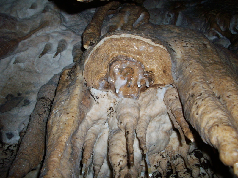 speleology, natural pattern, stalactite, cave formations, full frame, solid, rough, caves, caving, textured, karst, indoors, day, representation, stalactites