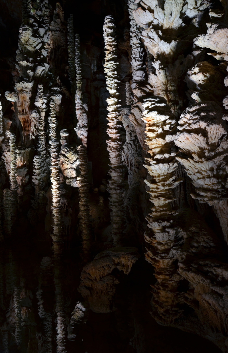 formation, aven armand, growth, karst, day, nature, geology, tree, trunk, 4K, full frame, illuminated, france, eroded, pattern, rock, physical geography