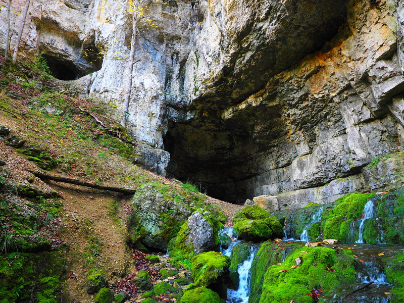 growth, physical geography, land, plant, rock - object, tree, scenics - nature, water cave, day, 4K, rock formation, karst, solid, grave stetten, non-urban scene