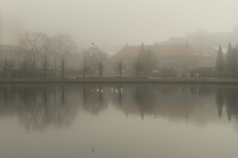 norway, partyplace, beauty in nature, lille lungegårdsvannet, hazy, trees, tree, built structure, sky, tranquil scene, birds, public, no people, lille