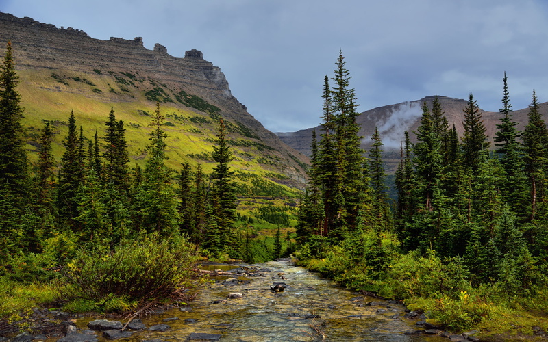 state, growth, green color, scenics - nature, flowing, sky, glacier, tree, s, land, mobile, non-urban scene, day, nature, park, outdoors, phones, 4K, hd