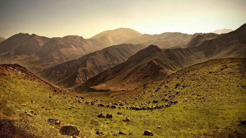 geology, field, mountain, landscape, rock, rock - object, sheep, non-urban scene, environment, desert, hill, tranquil scene, nature, mountain peak, idyllic