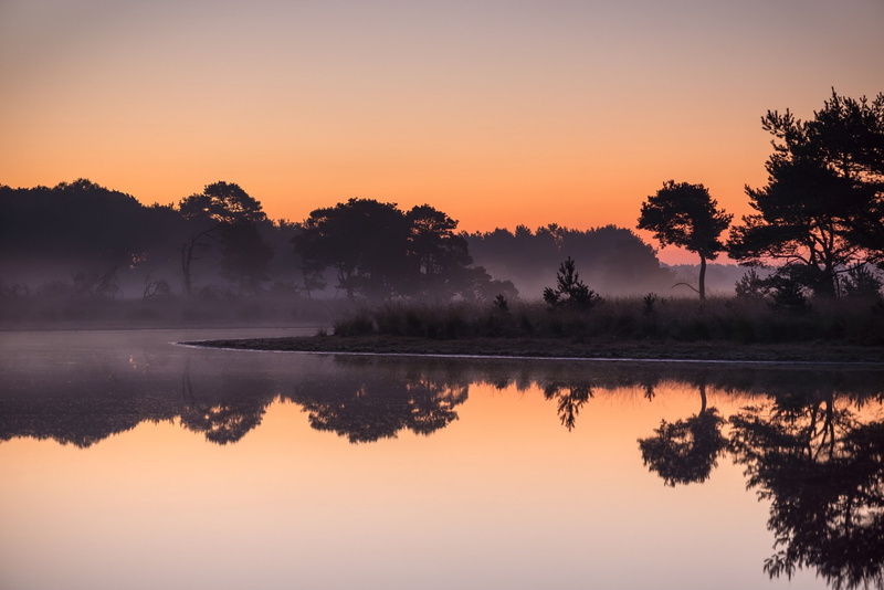 outdoors, nature, Netherlands, sunrise, tranquil scene, calm waters, 1080P, reflection, idyllic, trees, forest, sun, environment, fog, calm, reflection lake