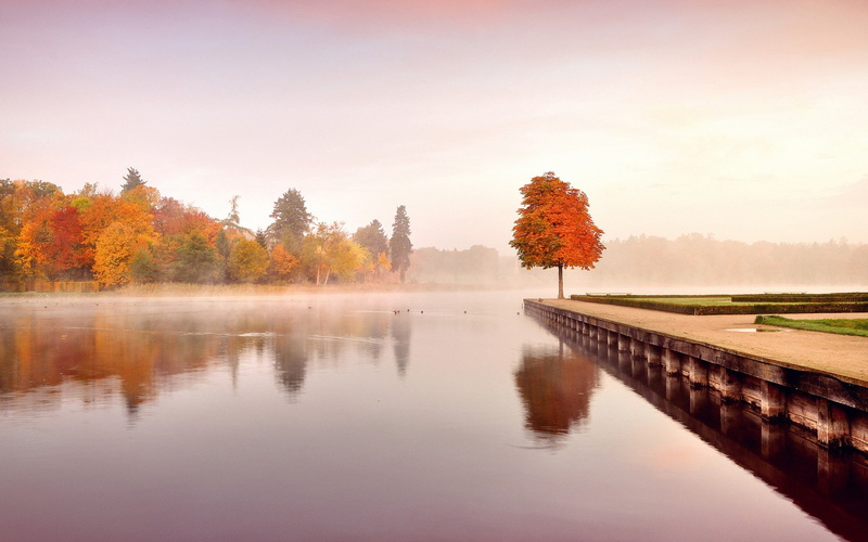 forest, water, landscape, mist, fall, 1080P, nature, lake, pier, calm, trees, reflection