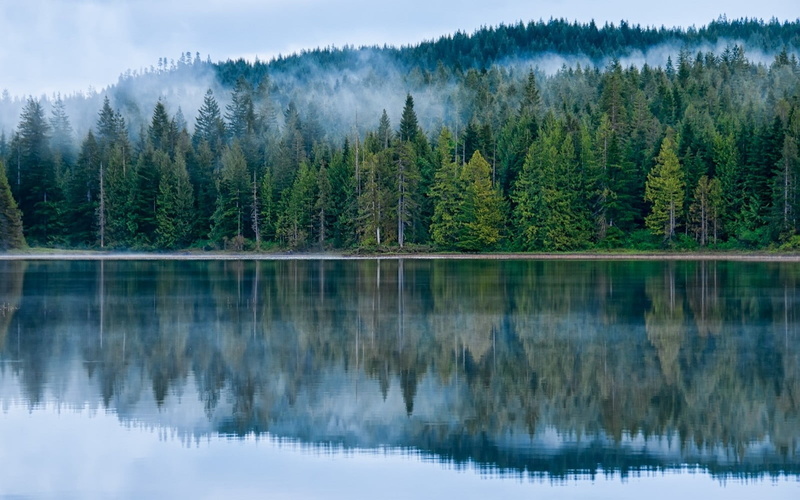 pine tree, tranquil scene, water, mountain, land, 720P, lake, green, blue, non-urban scene, forest, tranquility, plant, nature, beauty in nature, trees