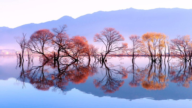 1080P, pond, heqing, china, valley, tree, reflection, lake, asia, yunnan, nature, autumn, huanglong pond, water, amazing